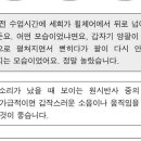 23초b6 이미지