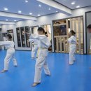 하나 태권도장 이미지