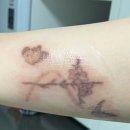 신보건약국 이미지