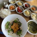 엄마, 반려견 자두, 그리고 제주