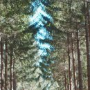 포레 | 평창 애니포레 후기｜연년생 남매랑 모노레일·동물체험까지 완벽