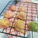 마이펫까까 이미지