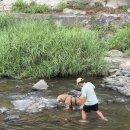 아우디(식당) | [경기/양주] 아우디들의 여름나기 수학여행 ʚ♥︎ɞ ⋆*･ﾟ...취사가능 계곡식당 ‘별장펜션&amp;BBQ FOOD’ 후기
