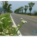 관호산성둘레길 이미지