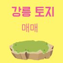 최세한공인중개사사무소 | 강릉 전원주택 부지 250평 직접 사보고 나서 깨달은 것들