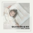 두올장식 | 아기베개 엘림코리아 리버시블 베개 사용후기