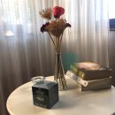 엔도케어약국 이미지