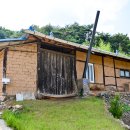 효자 박이명 정려 이미지