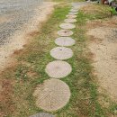 발효 찌거기로 &#34;발효퇴비&#34; 만들기, 추비하기 이미지