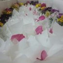 세일장례식장 이미지