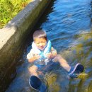 월성계곡 화장실 이미지