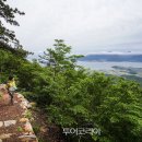 달마고도 이미지