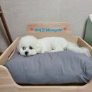 제스퍼우드공방