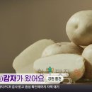 6시내고향 홍천 수미감자 농원 파는 곳 연락처 알아보기 - 포슬포슬 수미감자가 왔어요 김준옥
