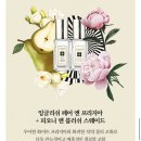 라임잉글리쉬 | [조말론런던] 라임 바질 앤 만다린+잉글리쉬 페어 앤 프리지아 + 피오니 앤 블러쉬 스웨이드 후기