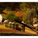 성모님의 품처럼 아늑한 남양 성모성지 이미지