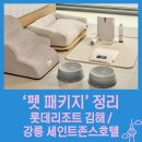 PET사랑 | 롯데리조트 김해 ‘펫 디럭스 패키지’와 강릉 세인트존스호텔 Pet Friendly 프로모션 정리