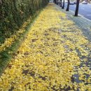 포낙보청기 송파방이센터 이미지