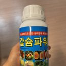 종합농약종묘사 | 초보농부 고추 농약 후기