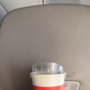 ㈜중부고속관광 | 대만 중부 도시 타이중 여행 후기