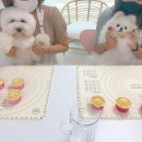 꿀비공방 이미지