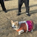 메르벨르리조트 이미지