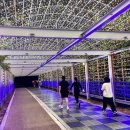 은하수별빛 이미지