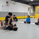 팀크로우 MMA 이미지