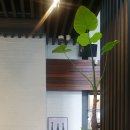 피오르달리조 안동대점 이미지