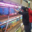 가성수족관 이미지