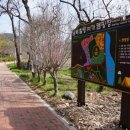 앵강 약초 공원 이미지