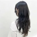 다정 샵 이미지