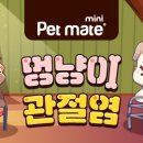 디엔씨 동물병원 이미지