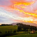 (주)뉴영남 이미지