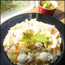 갑오징어짱 이미지