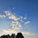 산동네청국장 | 충북 음성 골프장 코스카CC 4인 라운딩 릴리 코스 후기 + 아침, 점심 맛집 정보