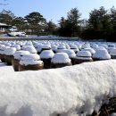 서일 농장 이미지