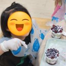 왕산초등 병설 | 포항 유치원 초등 체험수업|냉동 블루베리 &amp;냉동 산딸기로 만든 달콤한 컵케이크 만들기 수업 후기