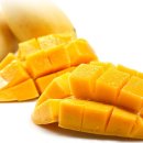 원광대학교 한의과대학 광주한방병원 이미지