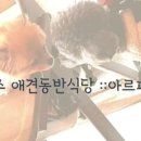 하랑이랑 애견카페 이미지