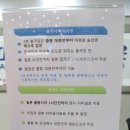 부산-대마도 배편, 대아고속해운(오션플라워호) 후기!