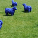 청양에너지 이미지