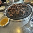 불타는돈갈매기 이미지