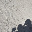 남양수산 이미지