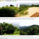 공주공원 공주공원 주차장 우측 이미지