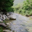 용문산장펜션
