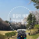 벚꽃과 함께 라비돌cc 라운딩 후기