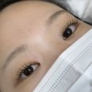 하우디 | 중랑구 신내동 망우동 속눈썹펌 잘하는 곳 하우디브로우 대만족후기 🪽