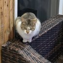 친목마을_상 | 칠곡 왜관 독채숙소‘머뭄’ 대가족 모임 프라이빗 스테이 후기