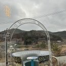 둔덕5길 | 거제둔덕카페 어른들과 함께가기 좋은 카페수국 후기